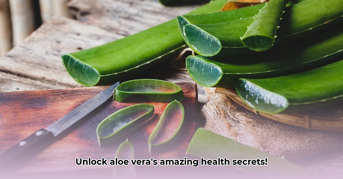 benefits-of-aloe-plant-in-home